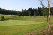 Golf Club Alfredov_green