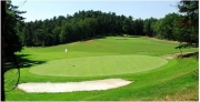 Golf_Club_Jested_green_les