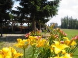 golf-na-morave