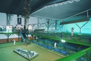 indoor golf praha