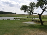 Golf Alfredov panorama