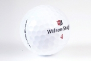 Wilson Staff DX2 bílý míček